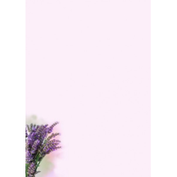 Brevpapir st - Lavender Garden