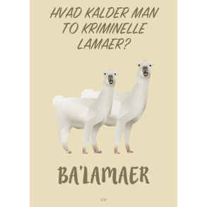 Citatplakat A5 Kort - Hvad kalder man to kriminelle lamaer? Ba'lamaer