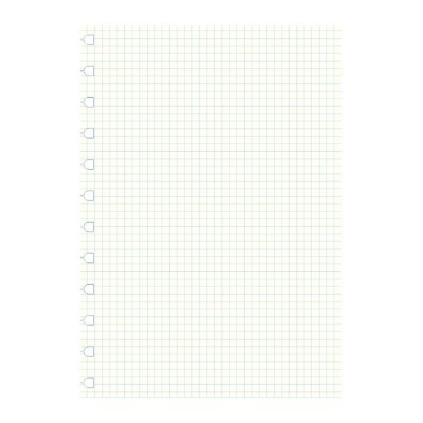Filofax Notebook Refill A4 Tern