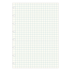 Filofax Notebook Refill A5 ternet