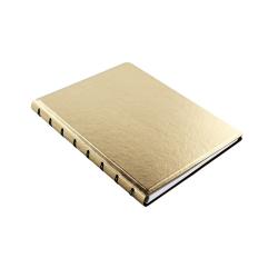 Filofax Notebook A5 Gold