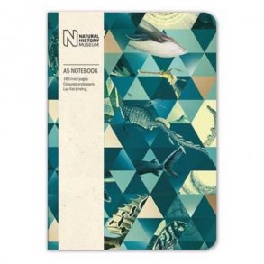 Museums & Galleries Notesbog  Under the sea