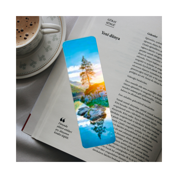 Hartung Bogm�rke - Reflection