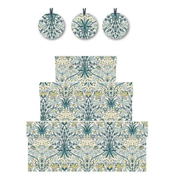 Penny Kennedy Gaveske Hyacint