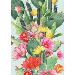Matthew Williamson Dobbeltkort Cactus Flower