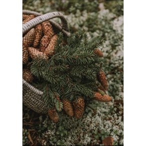 Skna Ting Dobbeltkort - Nordic Christmas - Basket