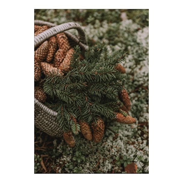 Skna Ting Dobbeltkort - Nordic Christmas - Basket