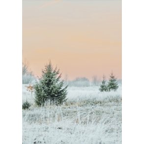 Skna Ting Dobbeltkort - Winter In Pastel - Winter Morning