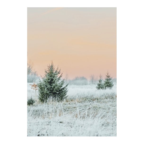 Skna Ting Dobbeltkort - Winter In Pastel - Winter Morning
