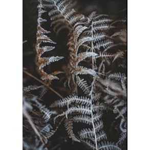 Skna Ting Dobbeltkort - Winter Vibe - Fern