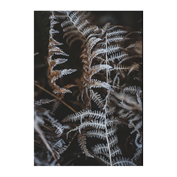 Skna Ting Dobbeltkort - Winter Vibe - Fern